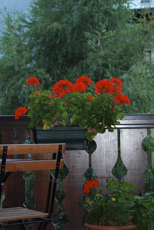 Appartement Courmayeur Chamonix